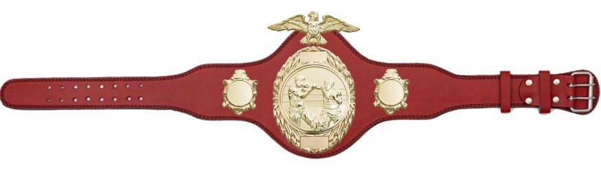 BOXING TITLE BELT - PLT288/G/BOXG - AVAILABLE IN 4 COLOURS BOXING TITLE BELT - PLT288/G/BOXG - AVAILABLE IN 4 COLOURS